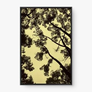 quadro decorativo quadro decorativo