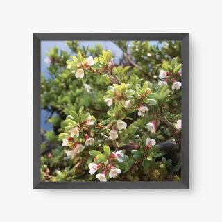 quadro decorativo quadro decorativo