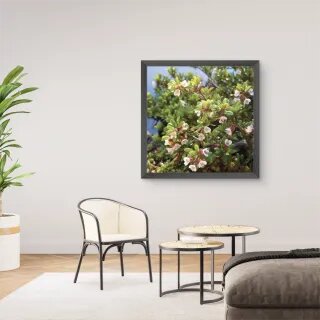 quadro decorativo quadro decorativo