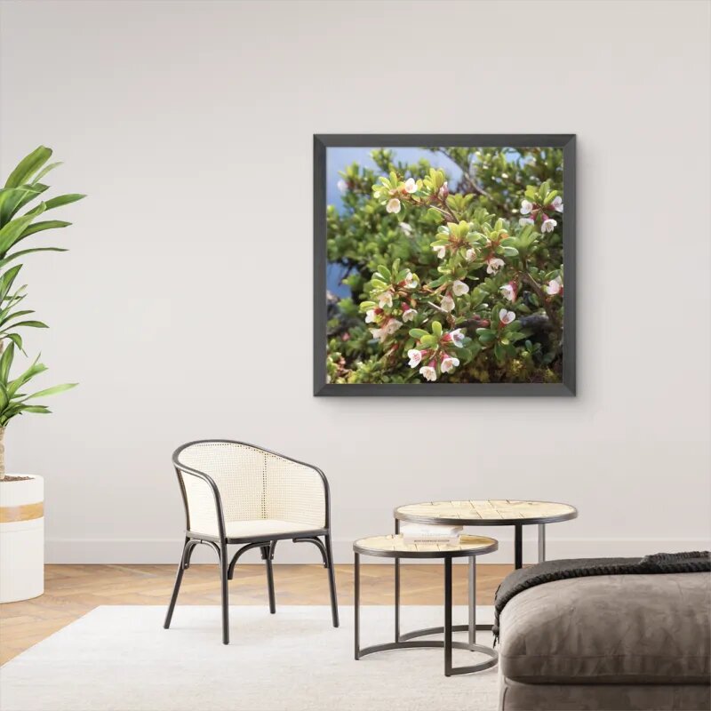 quadro decorativo