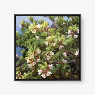 quadro decorativo quadro decorativo