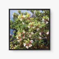 Quadro Decorativo Cerejeira - Quadros minimalistas