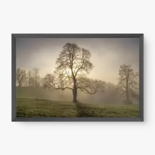 quadro decorativo quadro decorativo