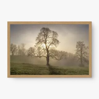 quadro decorativo quadro decorativo