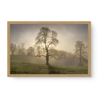 Quadro Decorativo Neblina - Quadros com natureza