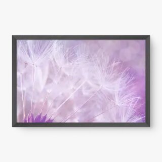 quadro decorativo quadro decorativo
