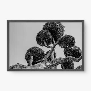 quadro decorativo quadro decorativo