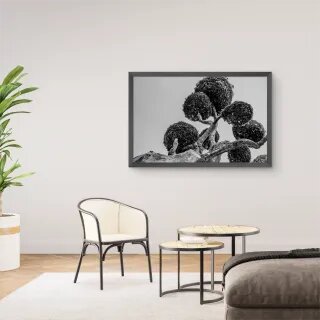 quadro decorativo quadro decorativo