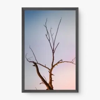 quadro decorativo quadro decorativo
