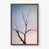 Quadro Decorativo Árvore Seca – quadro de natureza minimalista