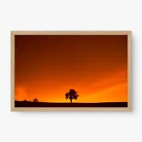 Quadro Decorativo Entardecer Estrelado - Quadros com natureza
